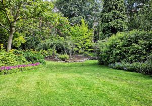 Optimiser l'expérience du jardin à Saint-Agnant-de-Versillat